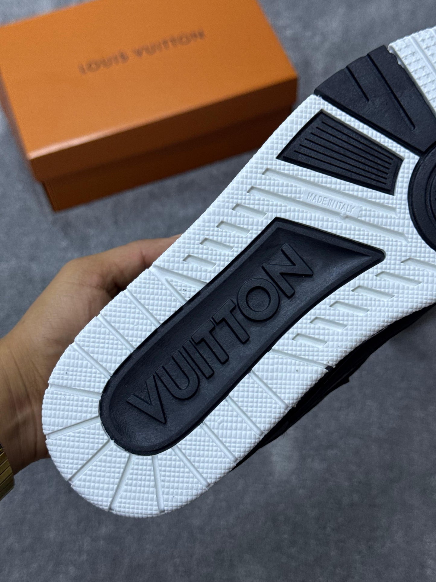 Louis Vuitton skate LV