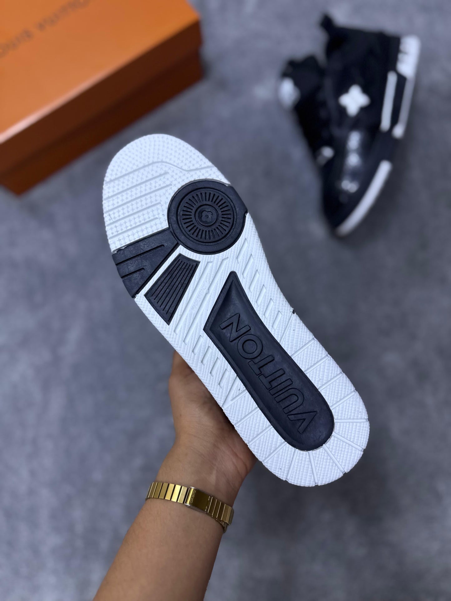 Louis Vuitton skate LV